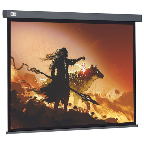 Экран Cactus CS-PSW-213X213-SG Wallscreen настенно-потолочный рулонный серый