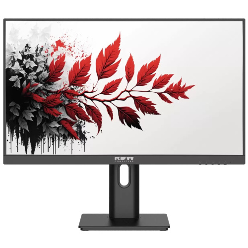 Монитор RDW Computers RDW2701K (2701K/F00B0120V2A1) черный