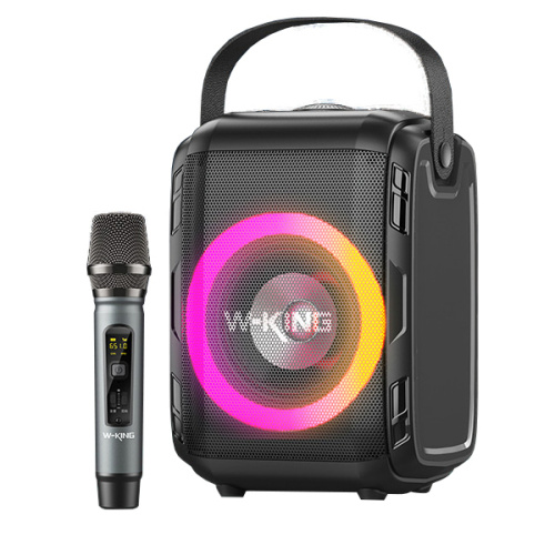 Портативная колонка W-King T9 S black