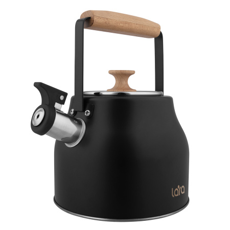 Чайник LARA LR00-87