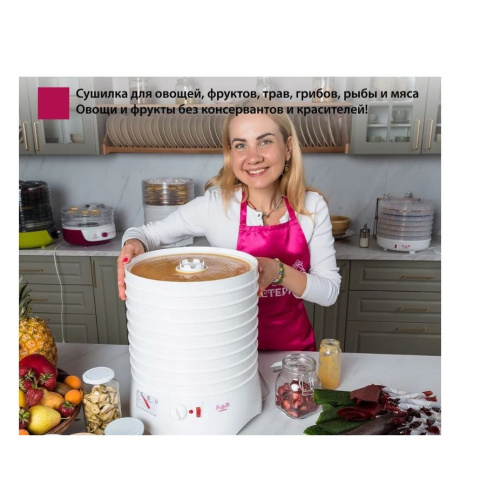 Сушилка для овощей и фруктов Мастерица EFD-0903VM + 2 поддона д/пастилы и лопатка