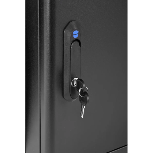 Шкаф коммутационный ЦМО ШРН-М-9.650-9005 настенный 9U 600x650мм черный