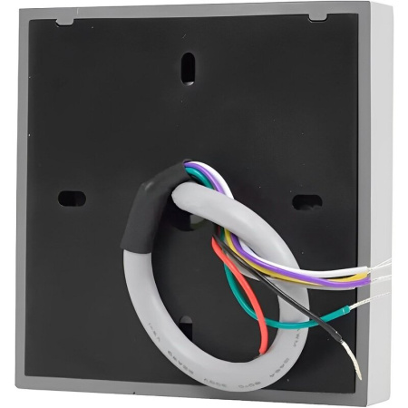 Считыватель ZKTeco ProID20WM-RS