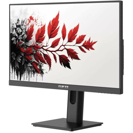Монитор RDW Computers RDW2701K/Q15В0100V2A1 черный