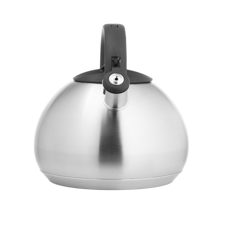 Чайник LARA LR00-83 4.5л