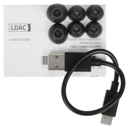 Наушники TWS Sony WF-LS910N черный